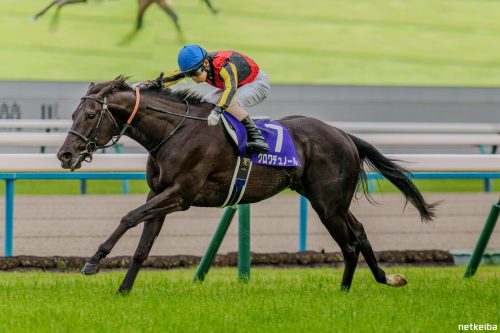 The 2026 Spring Tenno Sho&nbsp;(Review)