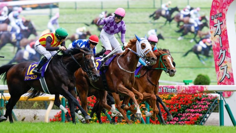 The instantly iconic image of Juryoku Pierrot and her jockey Seina Imamura crossing the finish line to victory. By Masakazu Takahashi. Original link: https://www.racingpost.com/news/reports/history-made-in-tokyo-as-22-year-old-rider-becomes-first-japanese-woman-to-win-domestic-grade-1-acJuu0r9Ztdd/