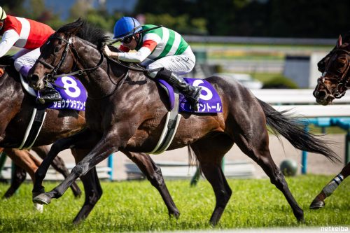 The 2026 Spring Tenno Sho&nbsp;(Preview)