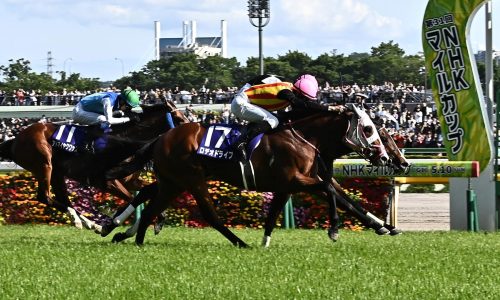 The 2026 NHK Mile Cup&nbsp;(Review)