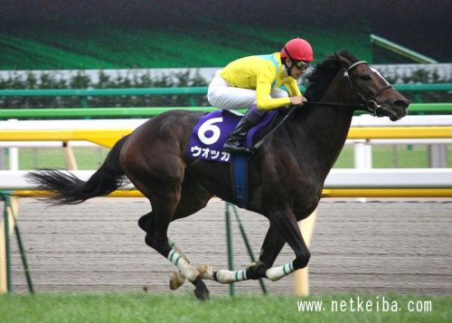 Vodka, winner of the 2009 Victoria Mile. Original link: https://en.netkeiba.com/db/horse/horse_photo_detail.html?horse_id=2004104258&photo_id=2089