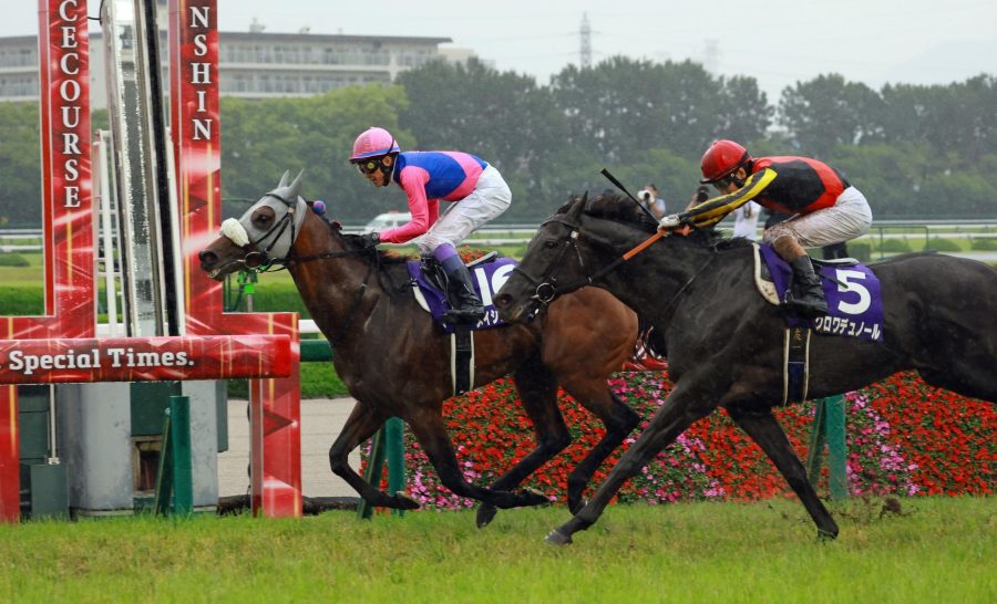 Meisho Tabaru, the winner of the 2026 Takarazuka Kinen. Photo by: Kosuke Ishiyu. Original link: https://en.netkeiba.com//news/news_detail.html?id=3851