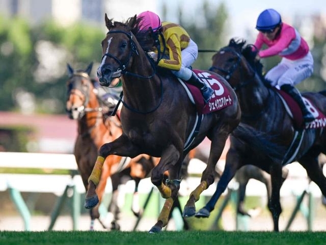 The 2026 Sapporo Kinen (Review)