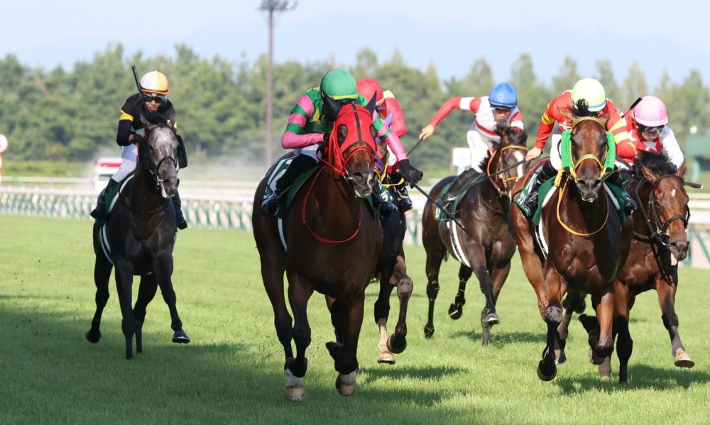 The 2026 Niigata Kinen (Race Preview)