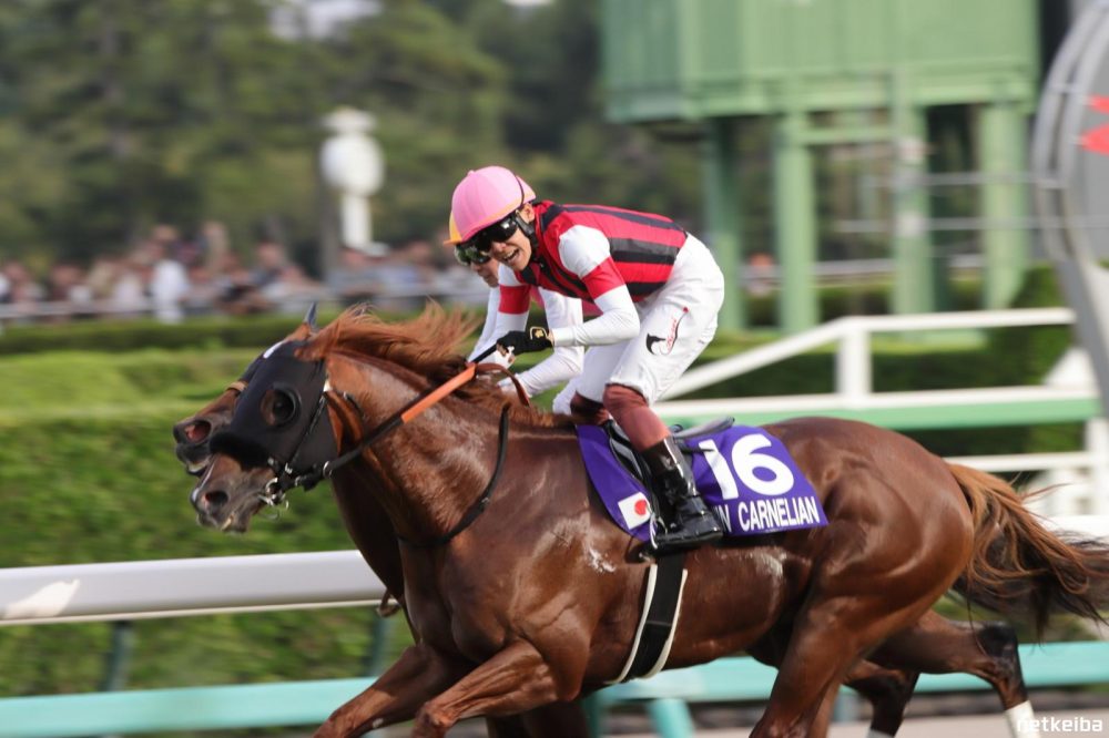 The 2026 Sprinters’ Stakes (Race Preview)