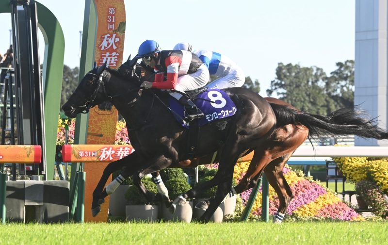 Monroe Walk, winner of the 2026 Shuka Sho. Original link: https://en.netkeiba.com//news/news_detail.html?id=4303.