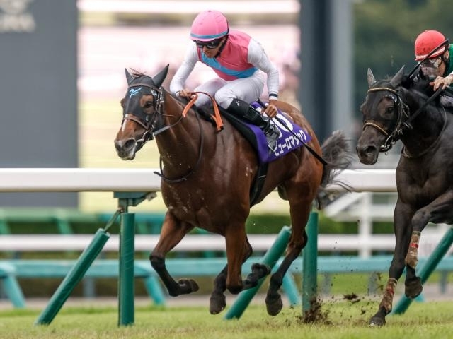Puro Magic, the winner of the 2026 Sprinters' Stakes. Picture by Yuki Shimono. Original source: https://en.netkeiba.com//news/news_detail.html?id=4215